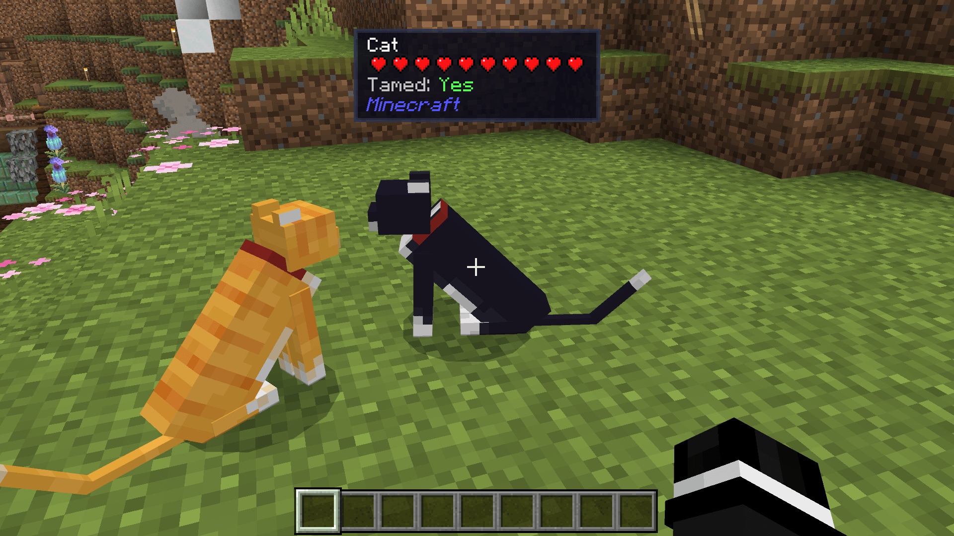 Tamed Status & Health