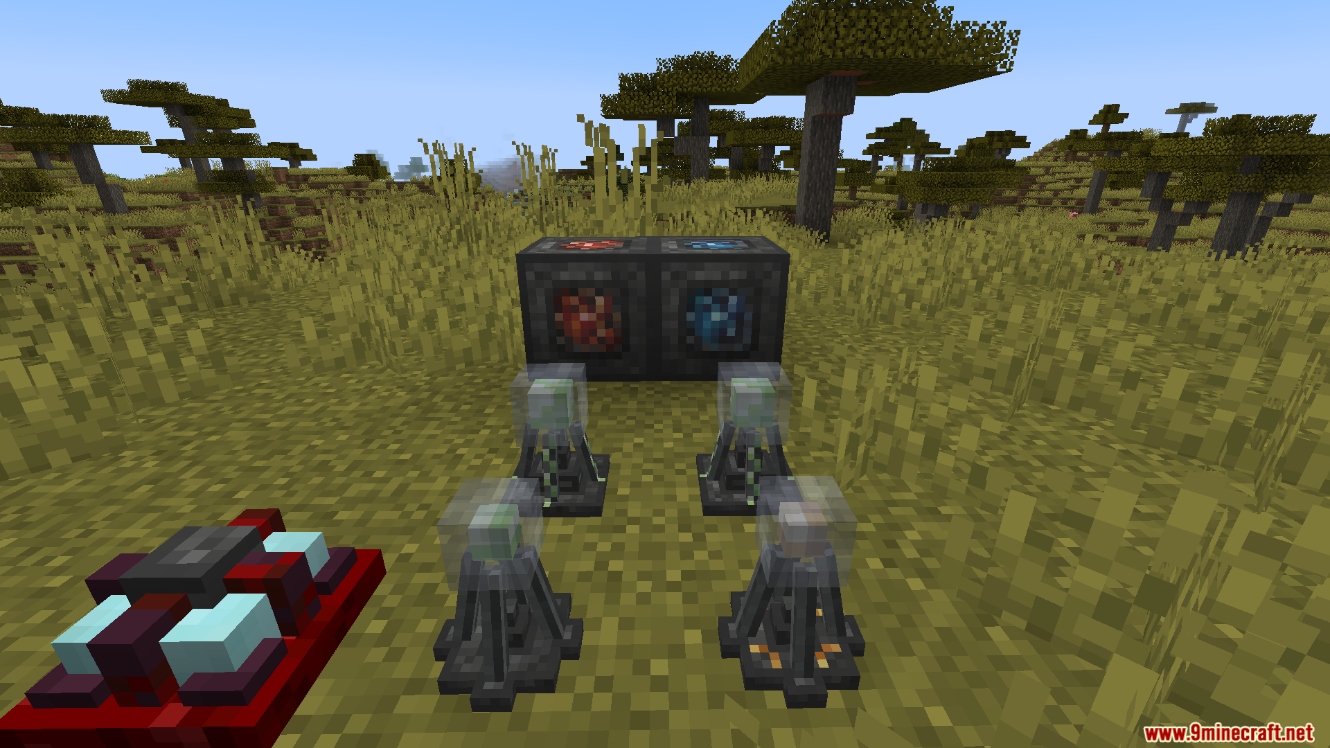 Bức ảnh Bức ảnh