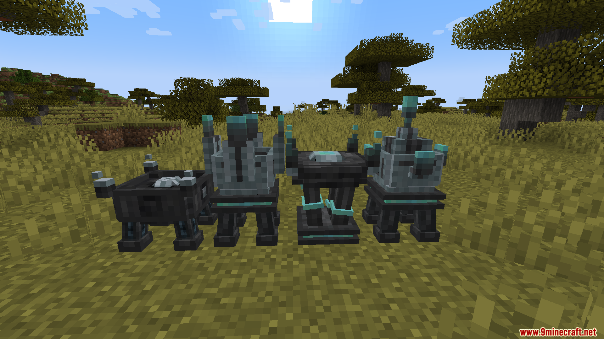 Trong ảnh Trong ảnh