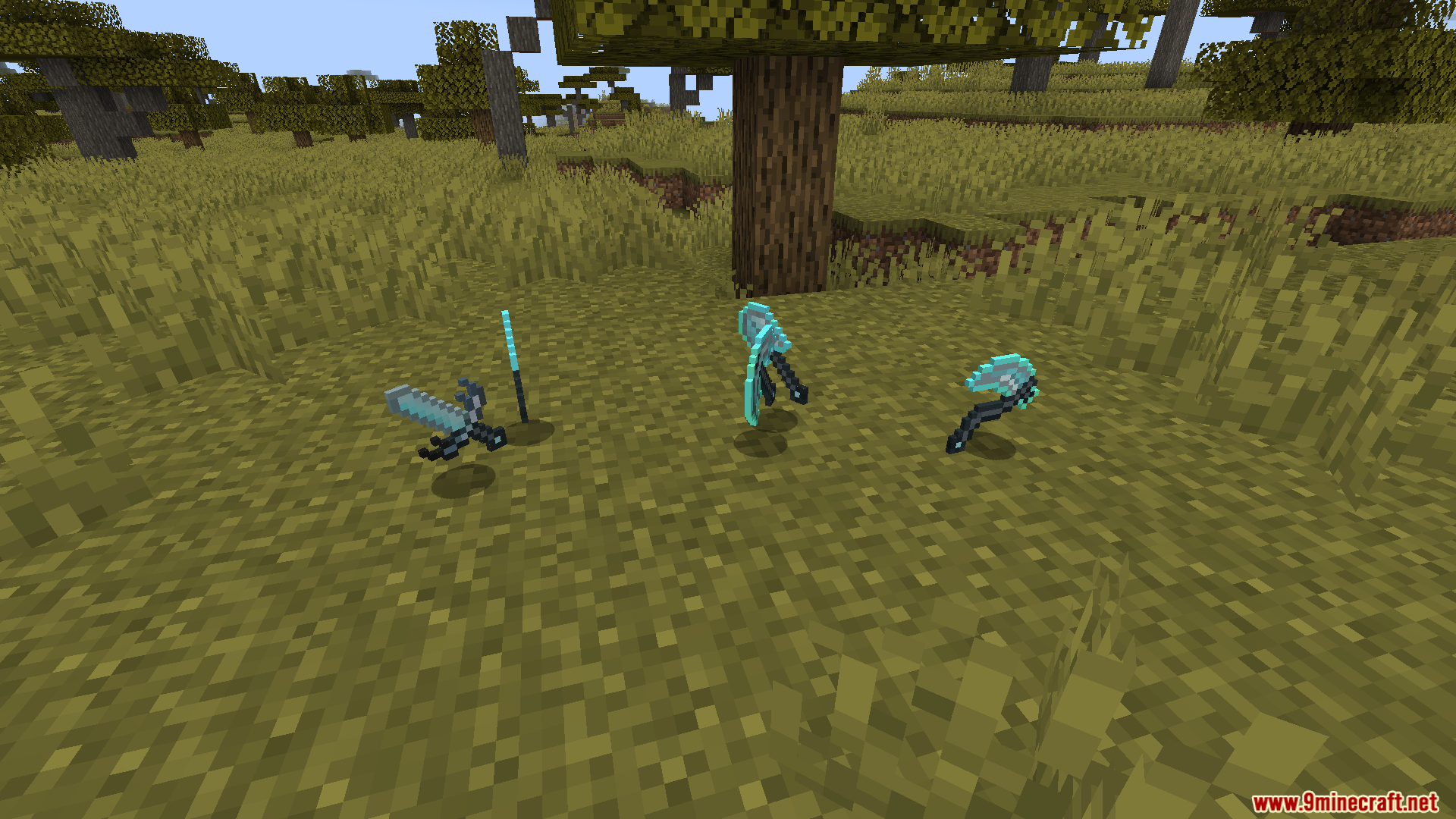 Trong ảnh là các Trong ảnh là các