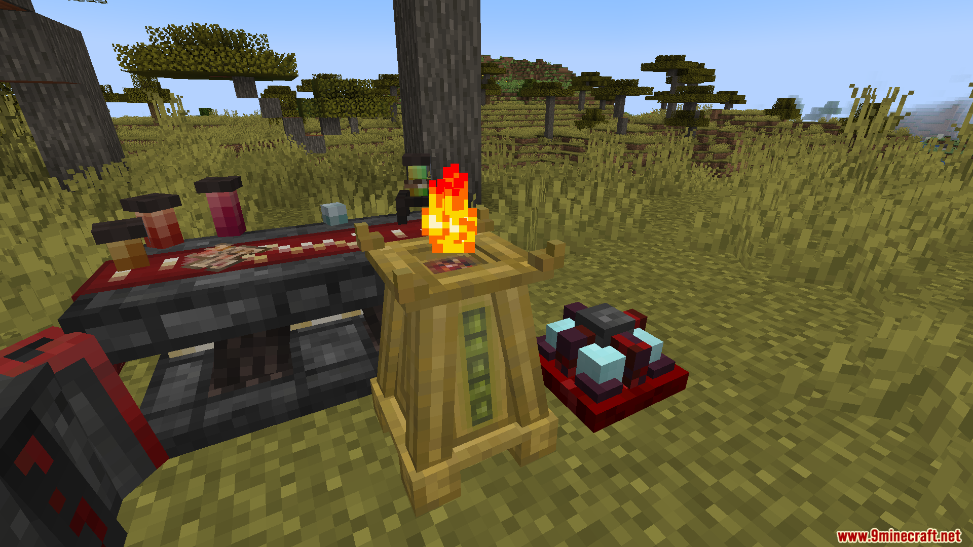 Trong ảnh là một Trong ảnh là một