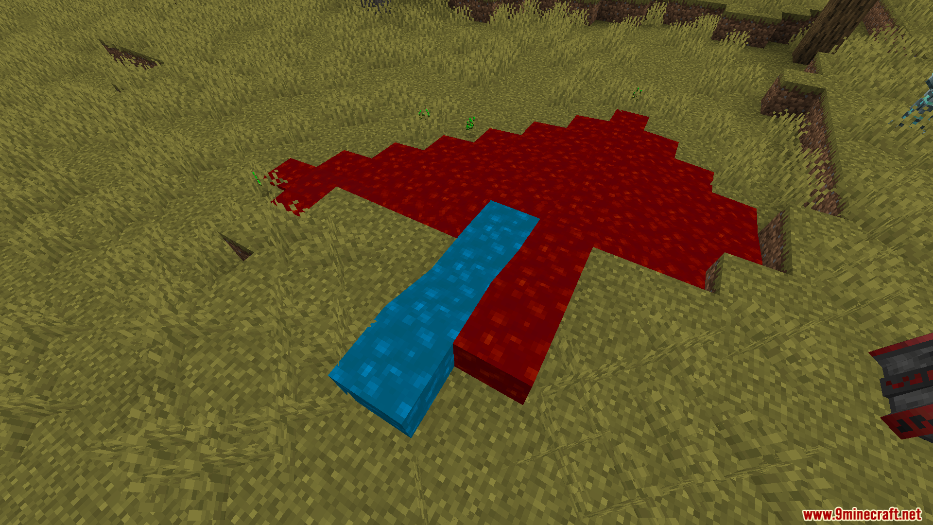 Trong ảnh Trong ảnh