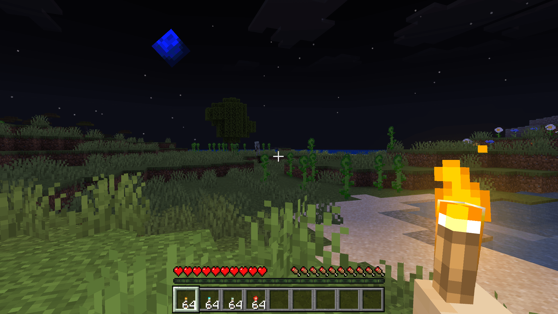 Player holding a torch at night with Bloomy Dynamic Lights