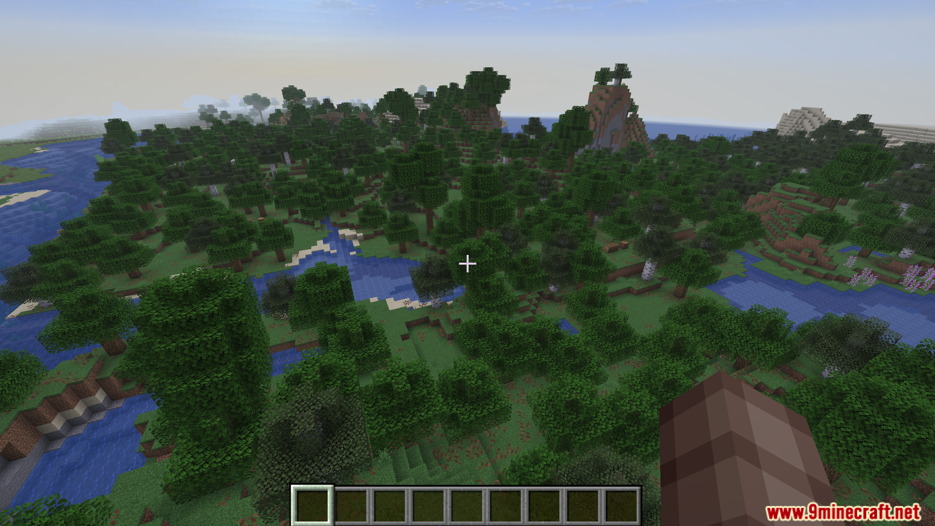 Player looking at a forest biome from above