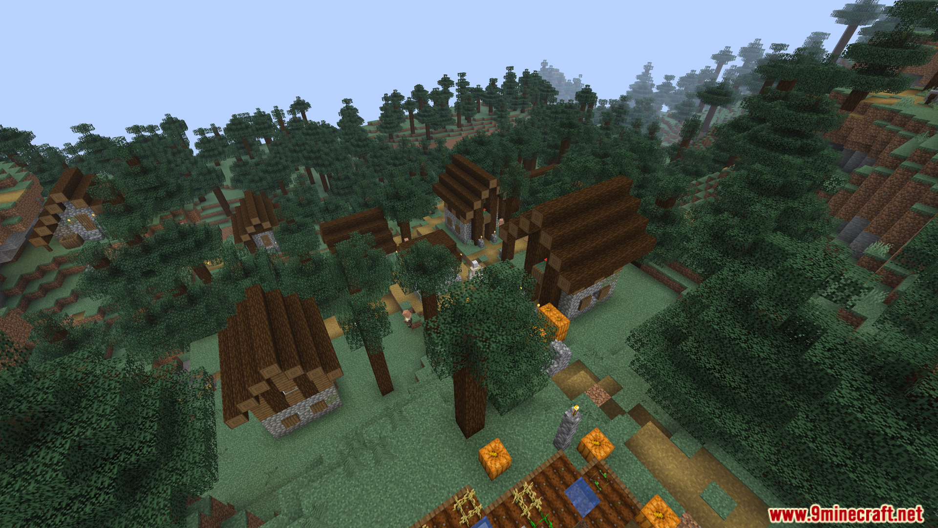 Aerial view of a taiga village featuring spruce houses and pumpkin farms