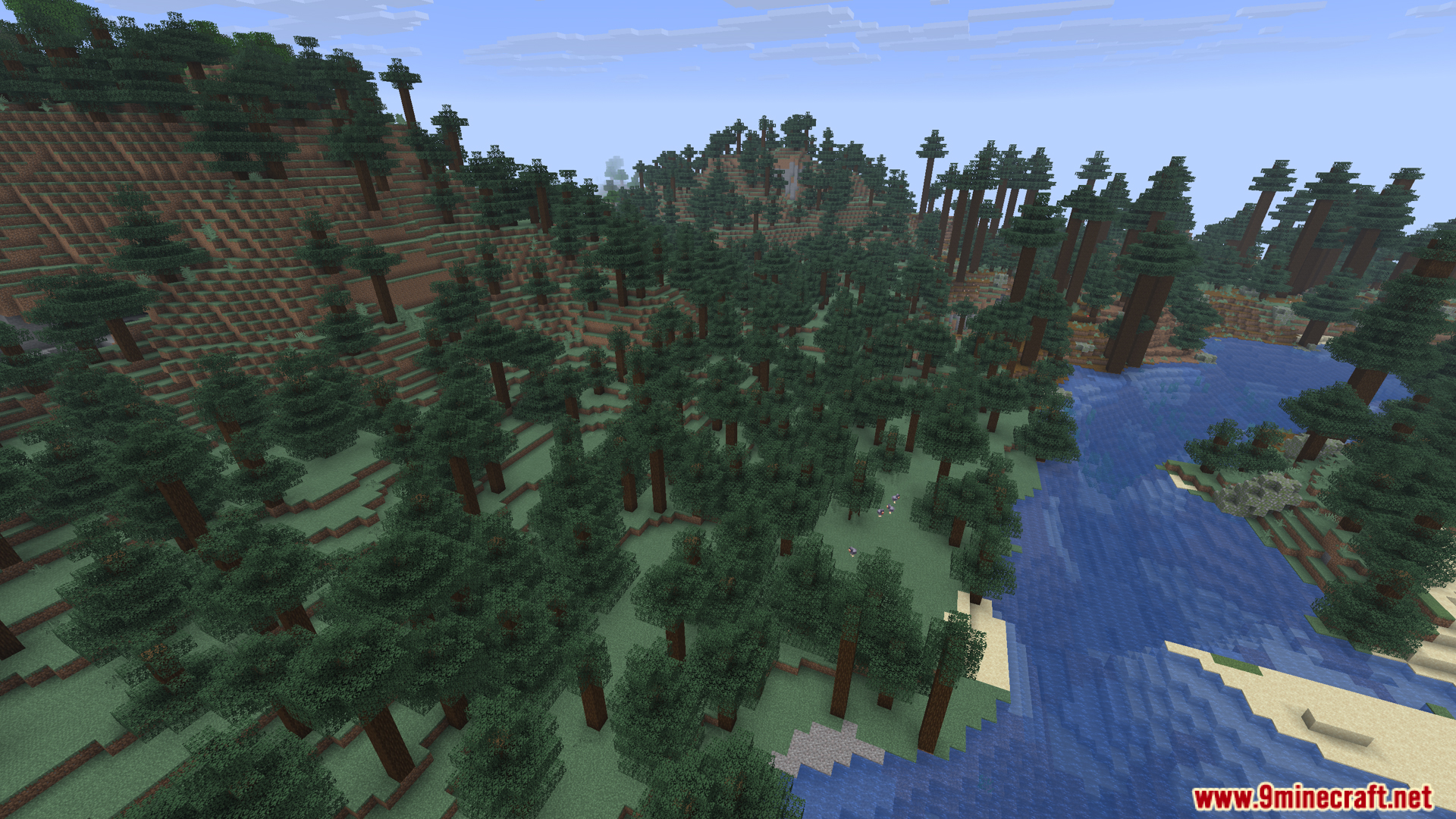 Scenic view of a taiga biome with spruce trees and water