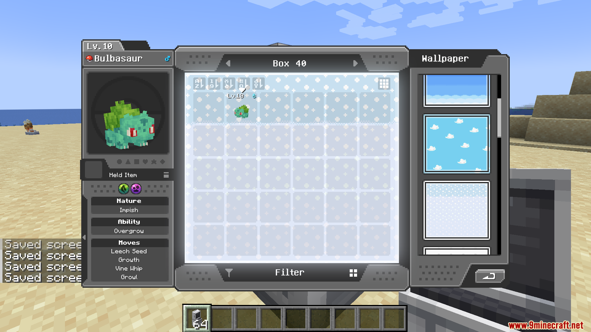 Selecting a sky-themed wallpaper for the Pokémon storage box