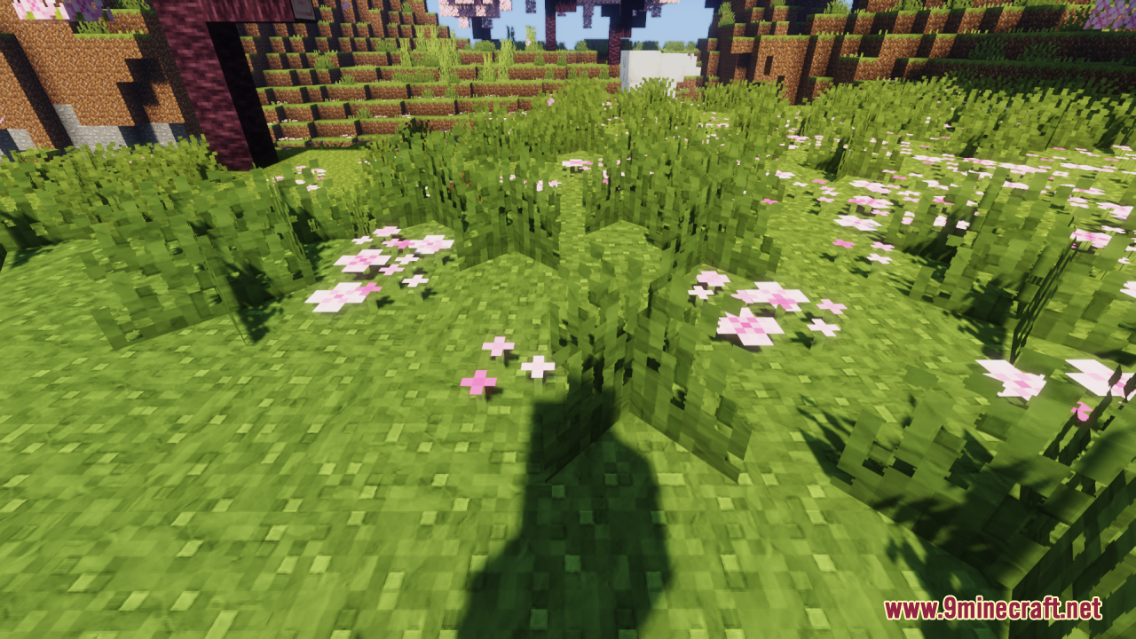 Pink flower petals scattered on grass with smooth clay textures