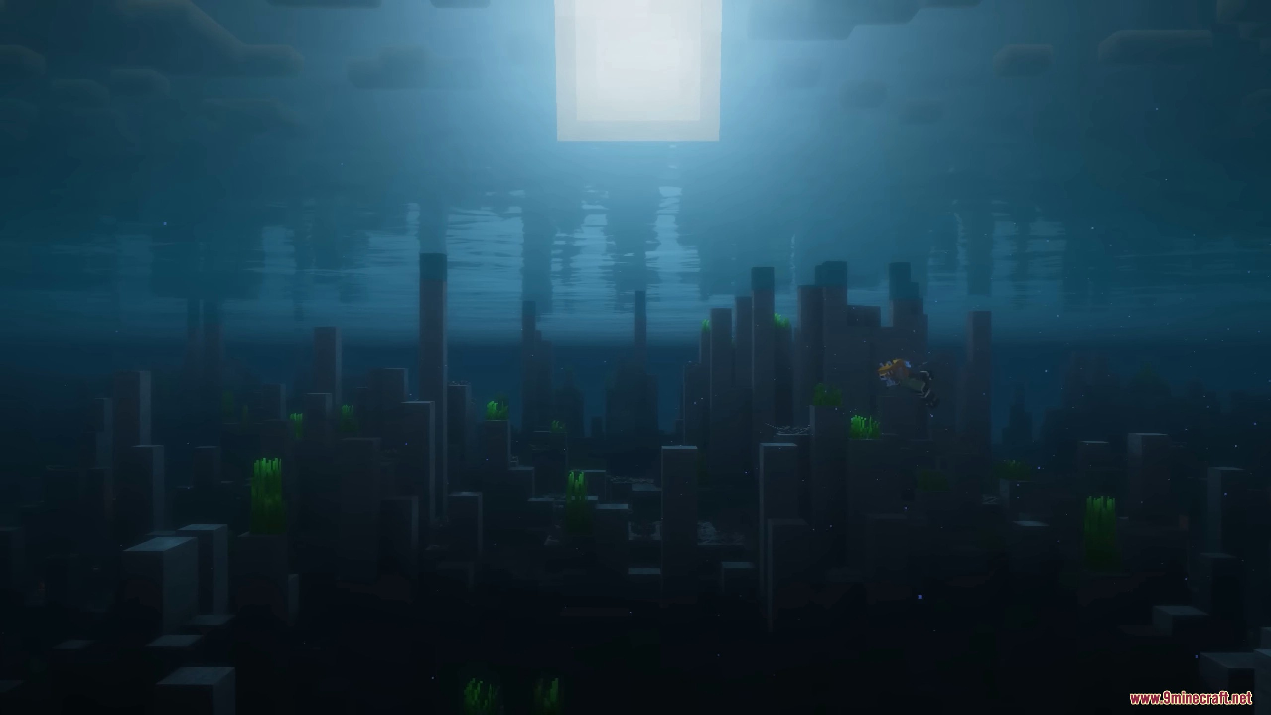 Deep ocean trench with basalt pillars in Cliff Under a Branch