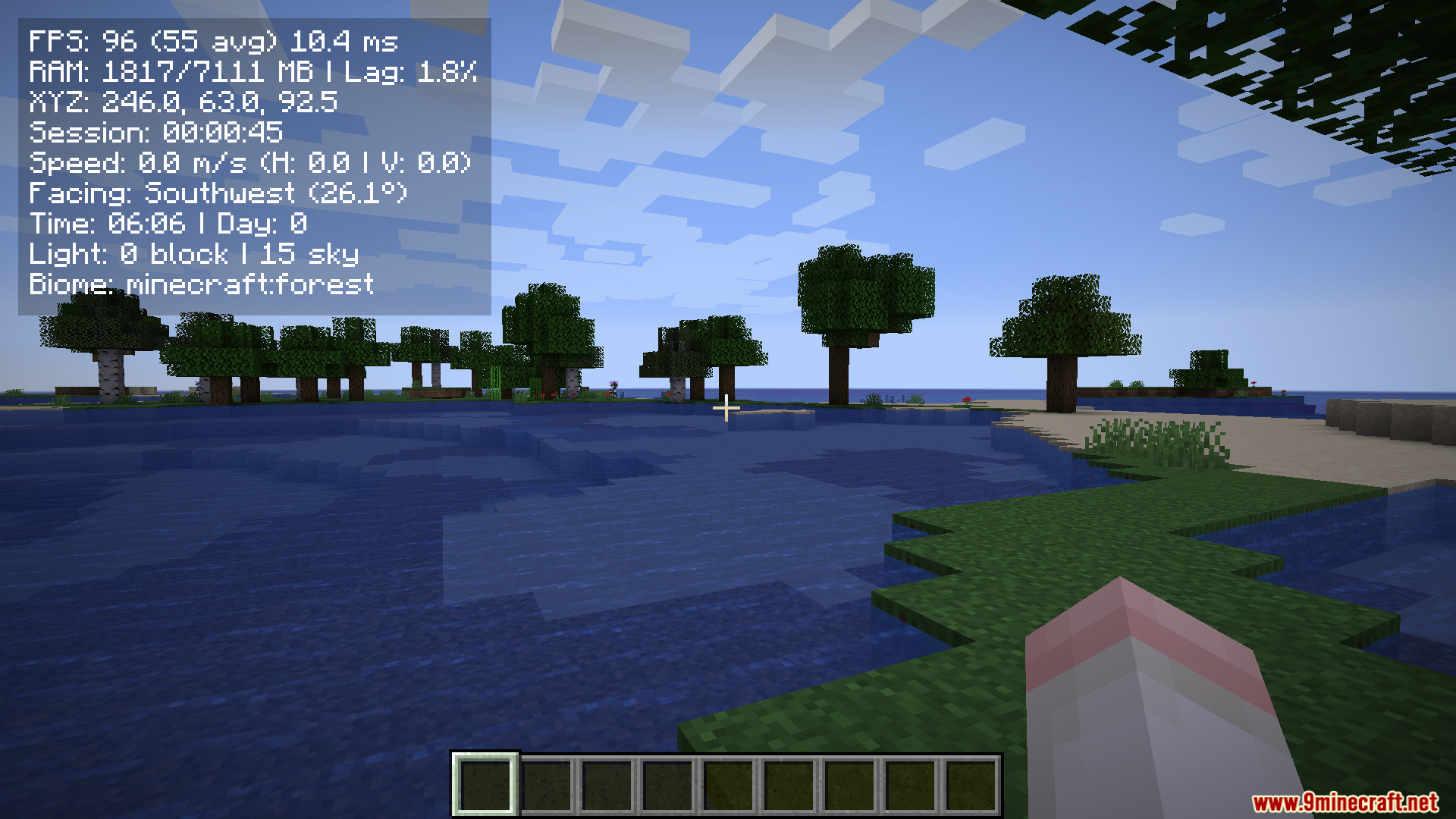Compact F3 Plus Mod showing stats over a forest biome