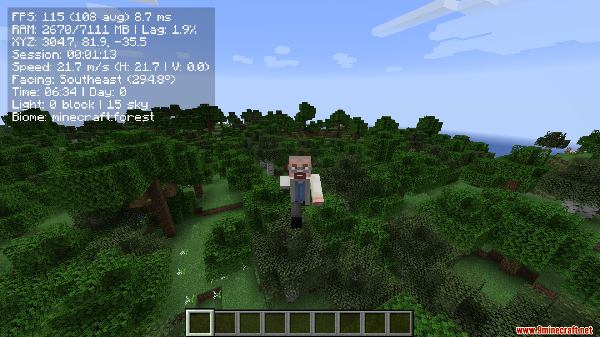 Compact F3 Plus Mod displaying stats over a forest