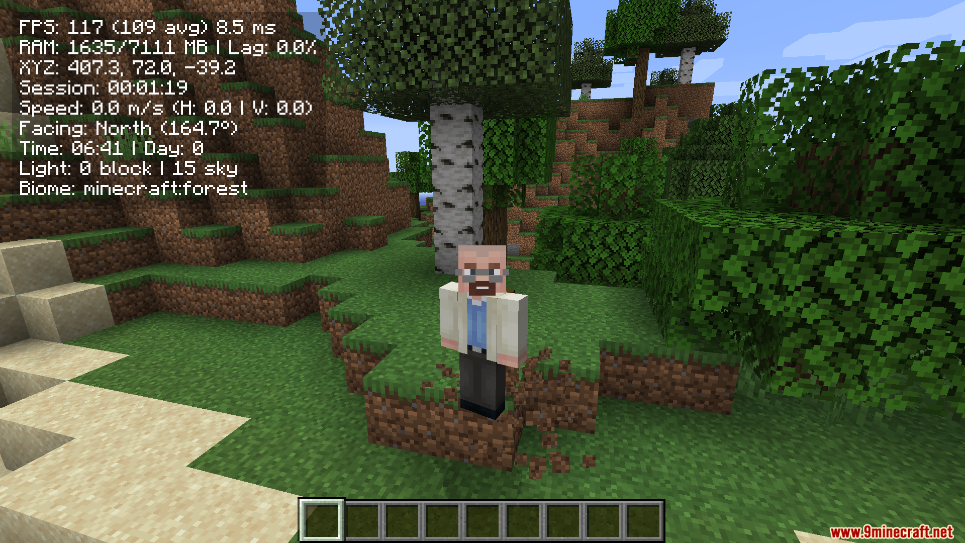 Player character standing on a hill near a birch tree