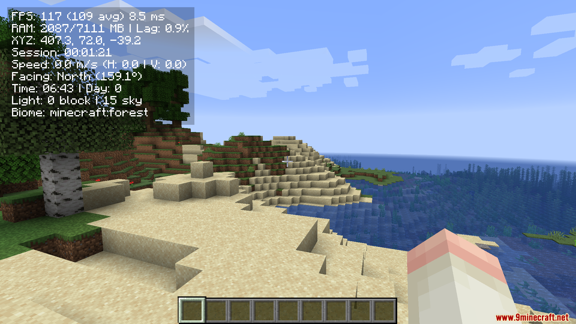 First-person view of a sandy beach next to the ocean