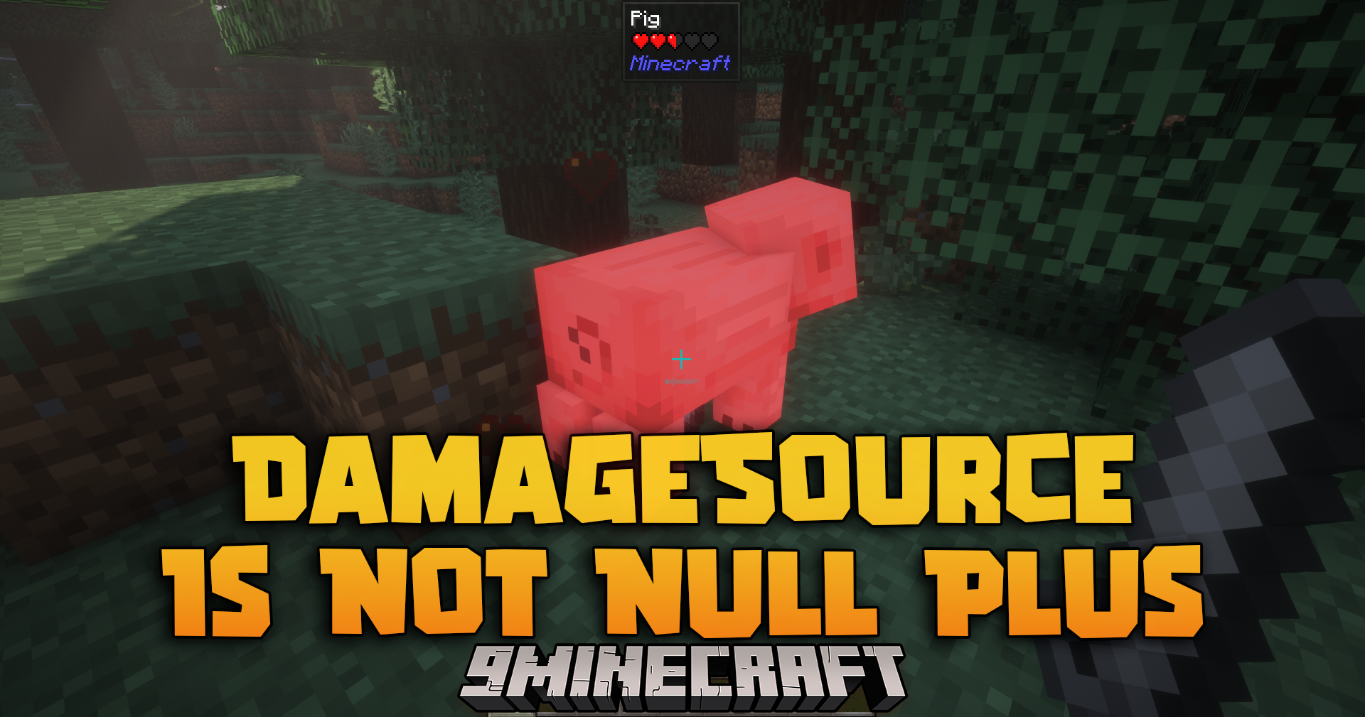 Damagesource is Not Null Mod