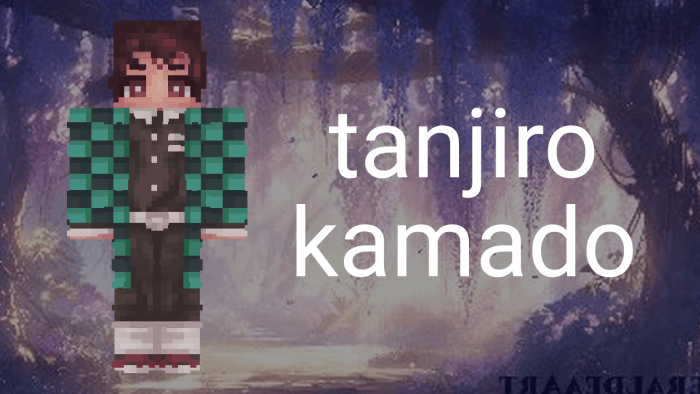 Tanjiro Kamado character skin wearing his checkered haori