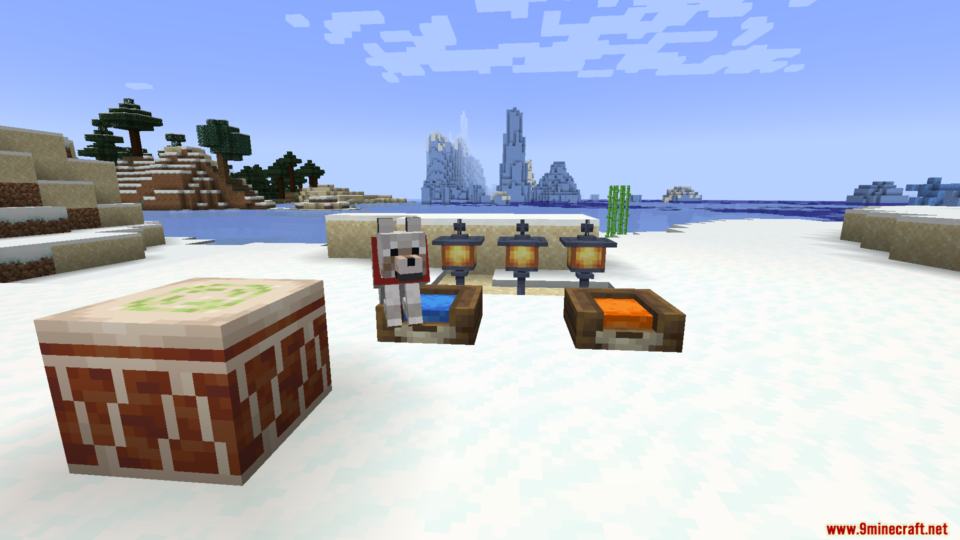 A pet wolf rests in a water bowl on a snowy beach