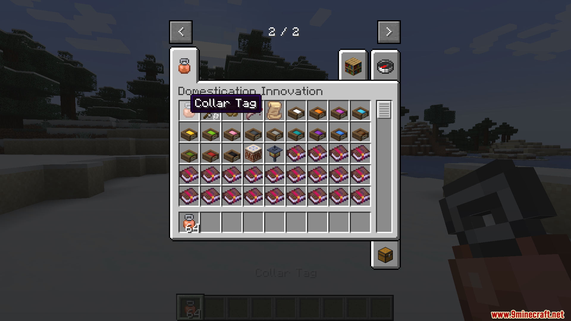 Player holding a Collar Tag item