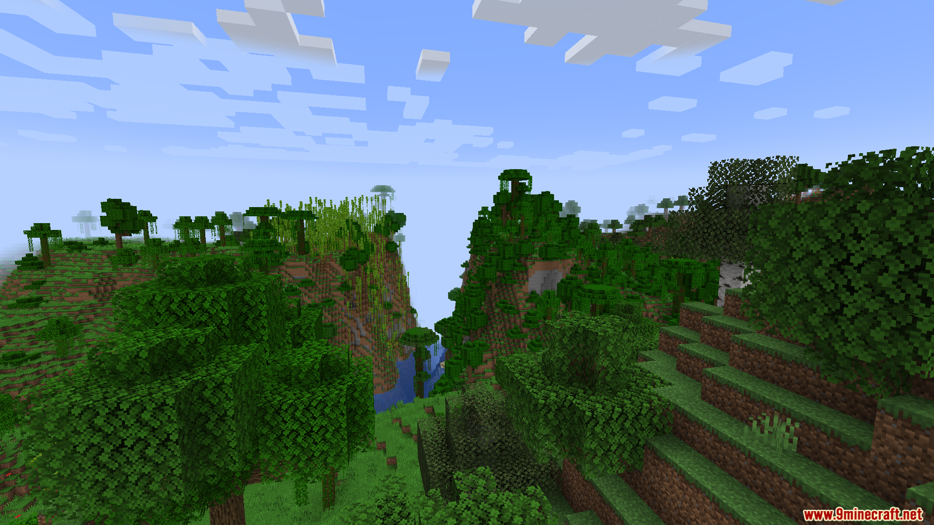 A deep canyon splitting a lush jungle biome