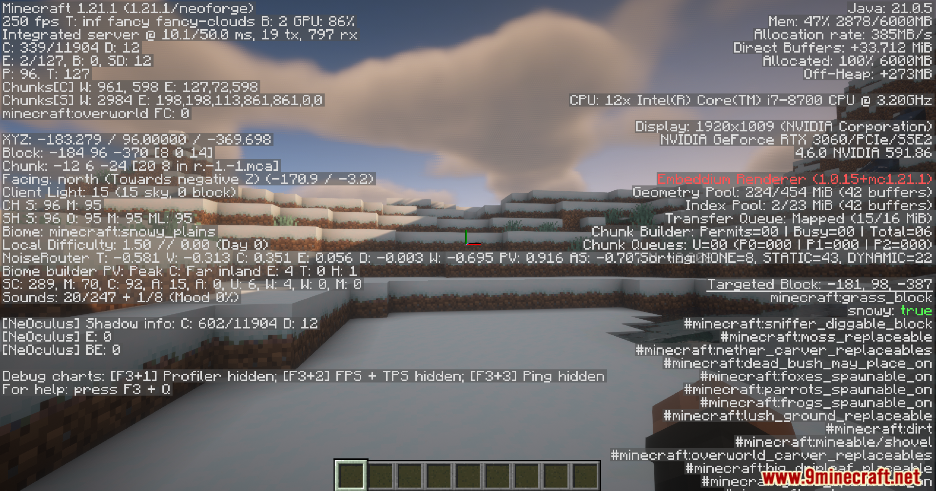 Debug screen showing snowy plains biome and targeted grass block