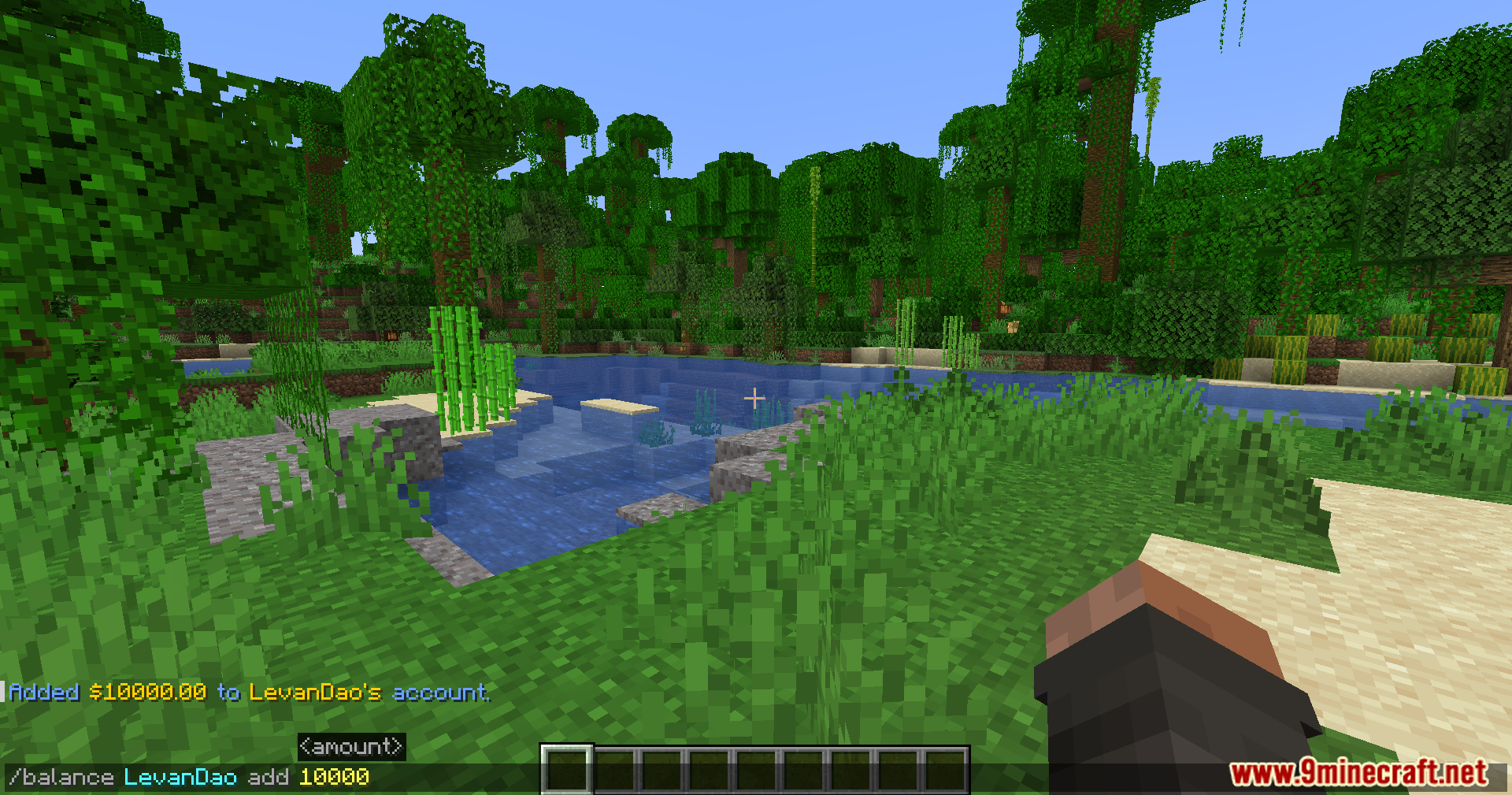 Player adding money to an account using an Eightseconomyp command