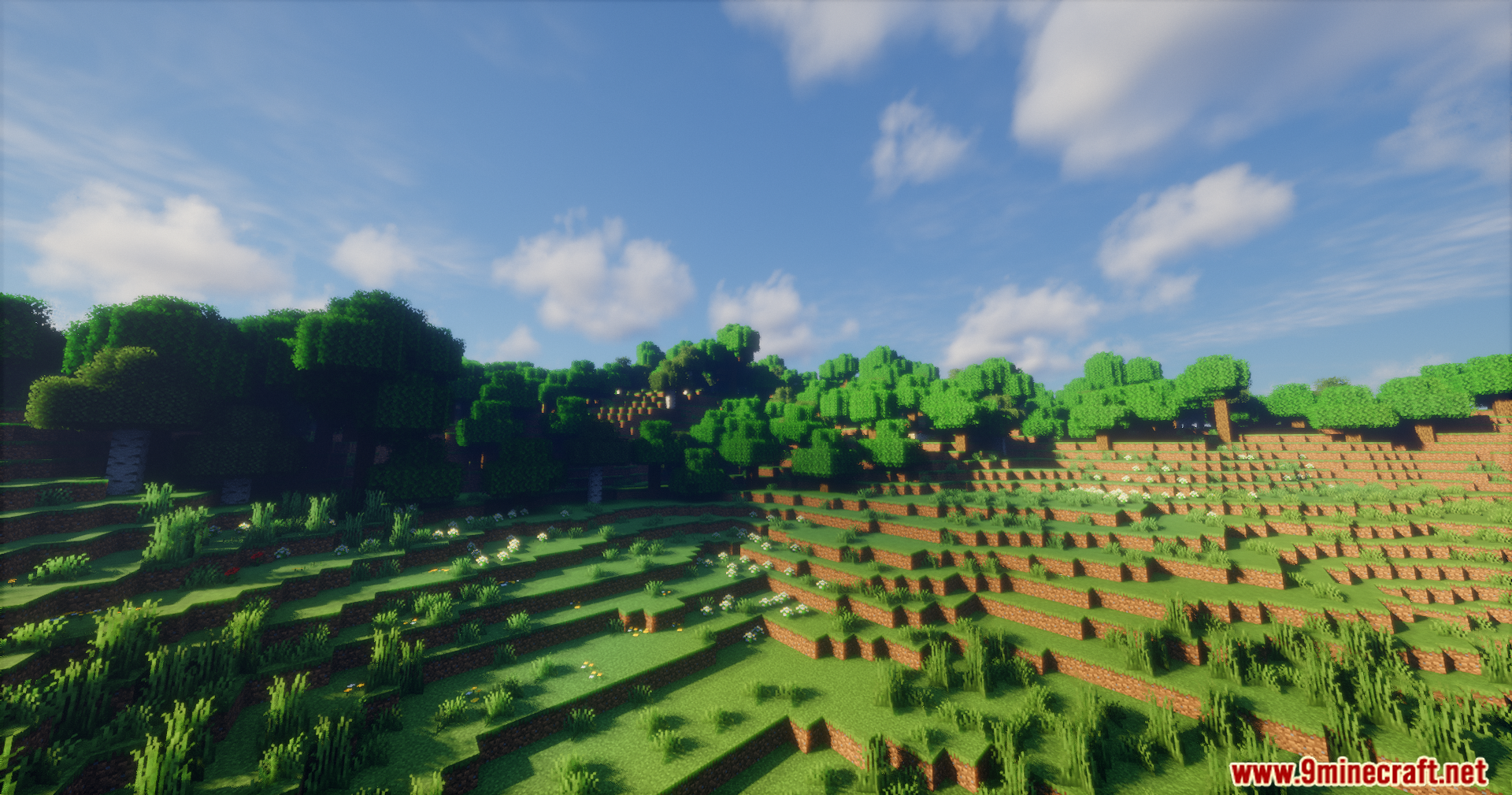 Emanrux Shaders displaying vibrant lighting and realistic clouds over a forest