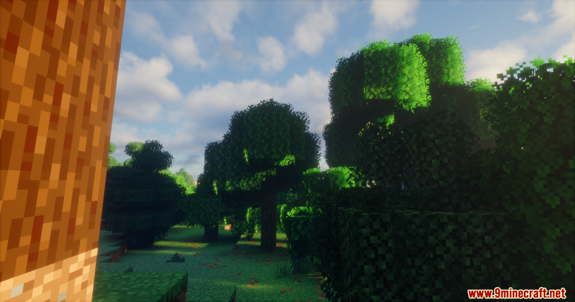 Bright sun and realistic clouds viewed through forest tree canopy