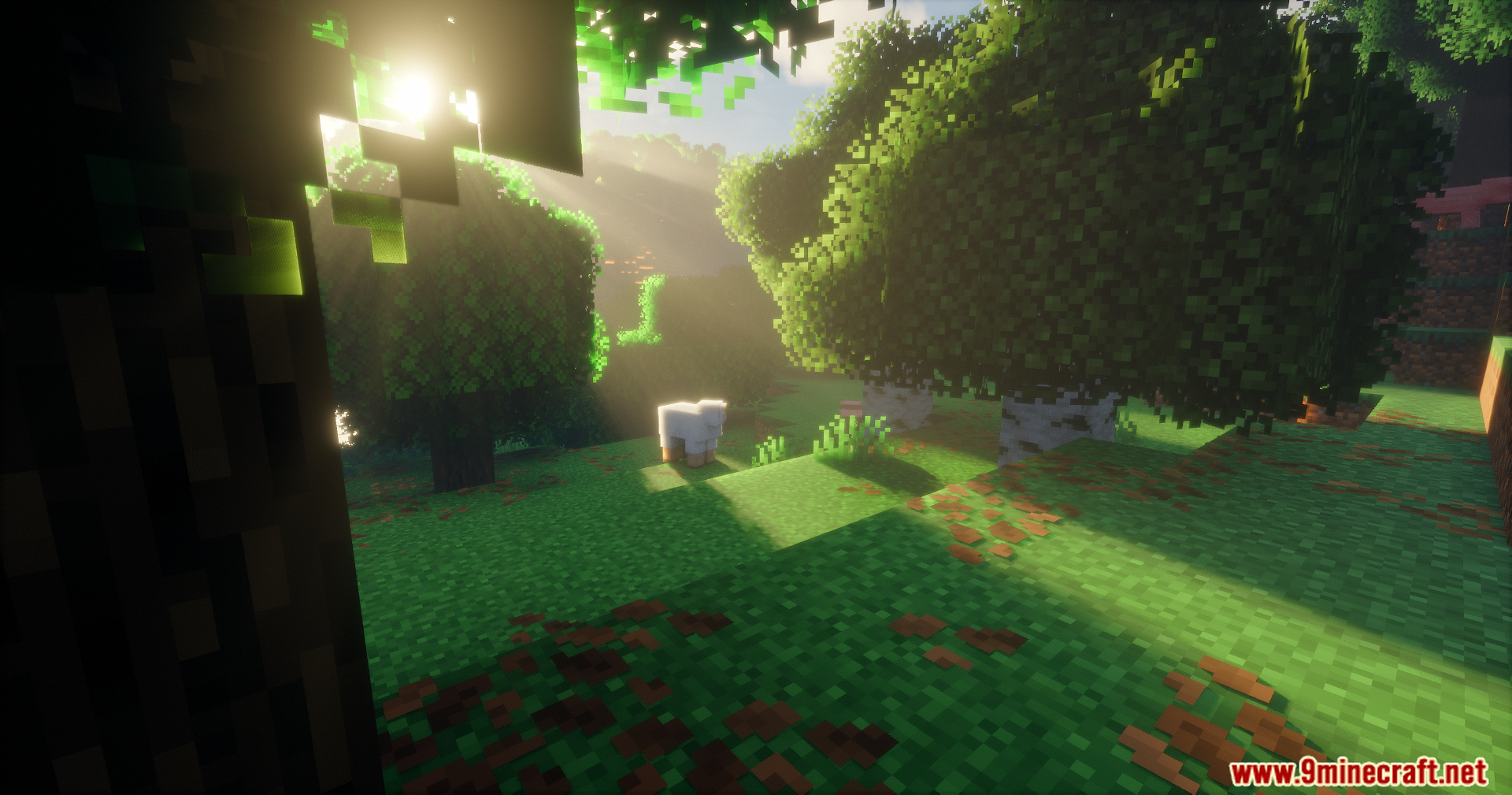 Detailed lighting and deep shadows on trees in a forest