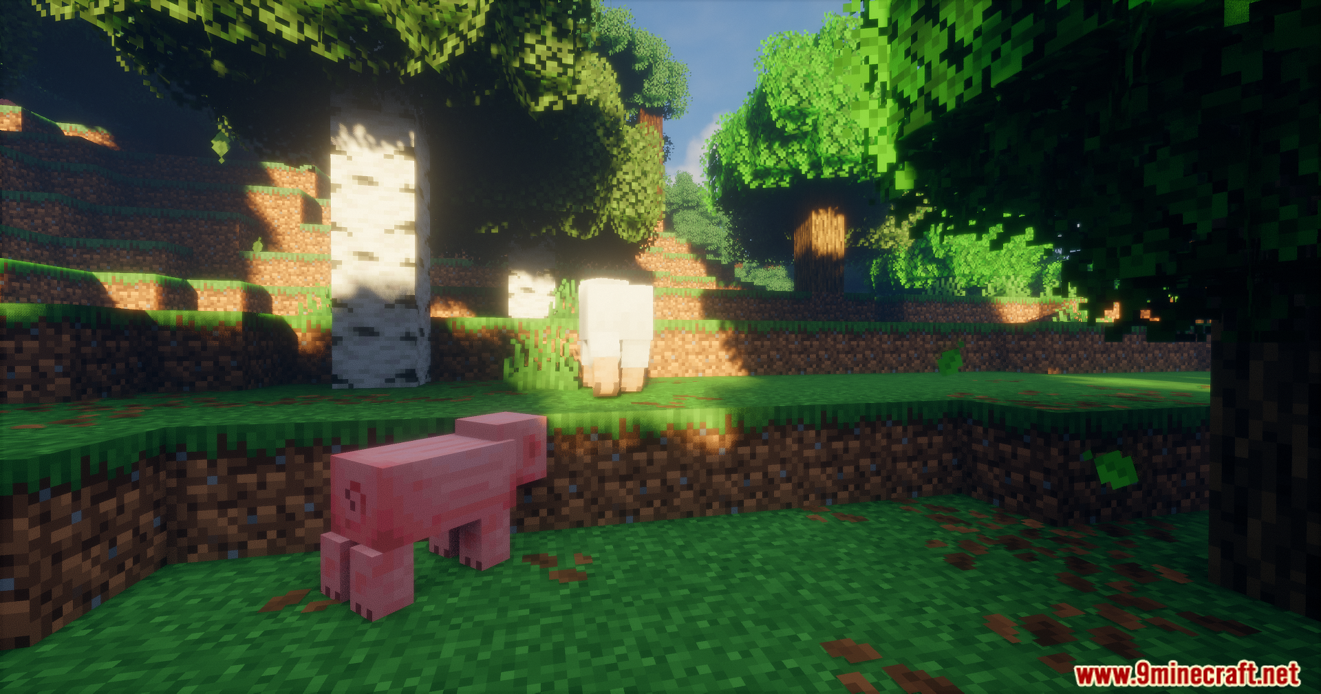 Pig and sheep standing in a grassy forest with bright sunlight
