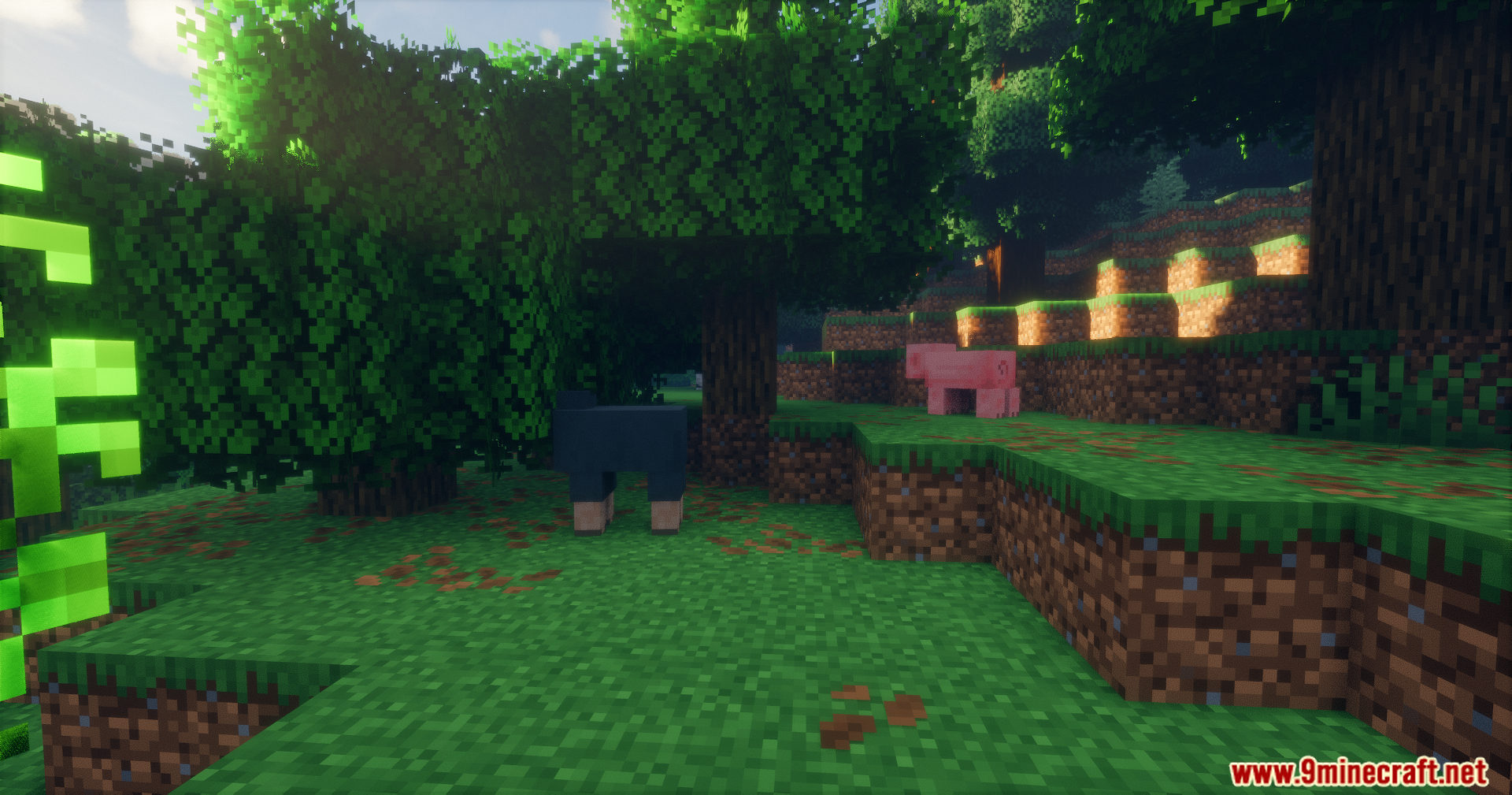 Black sheep and pig resting in shaded forest area under trees