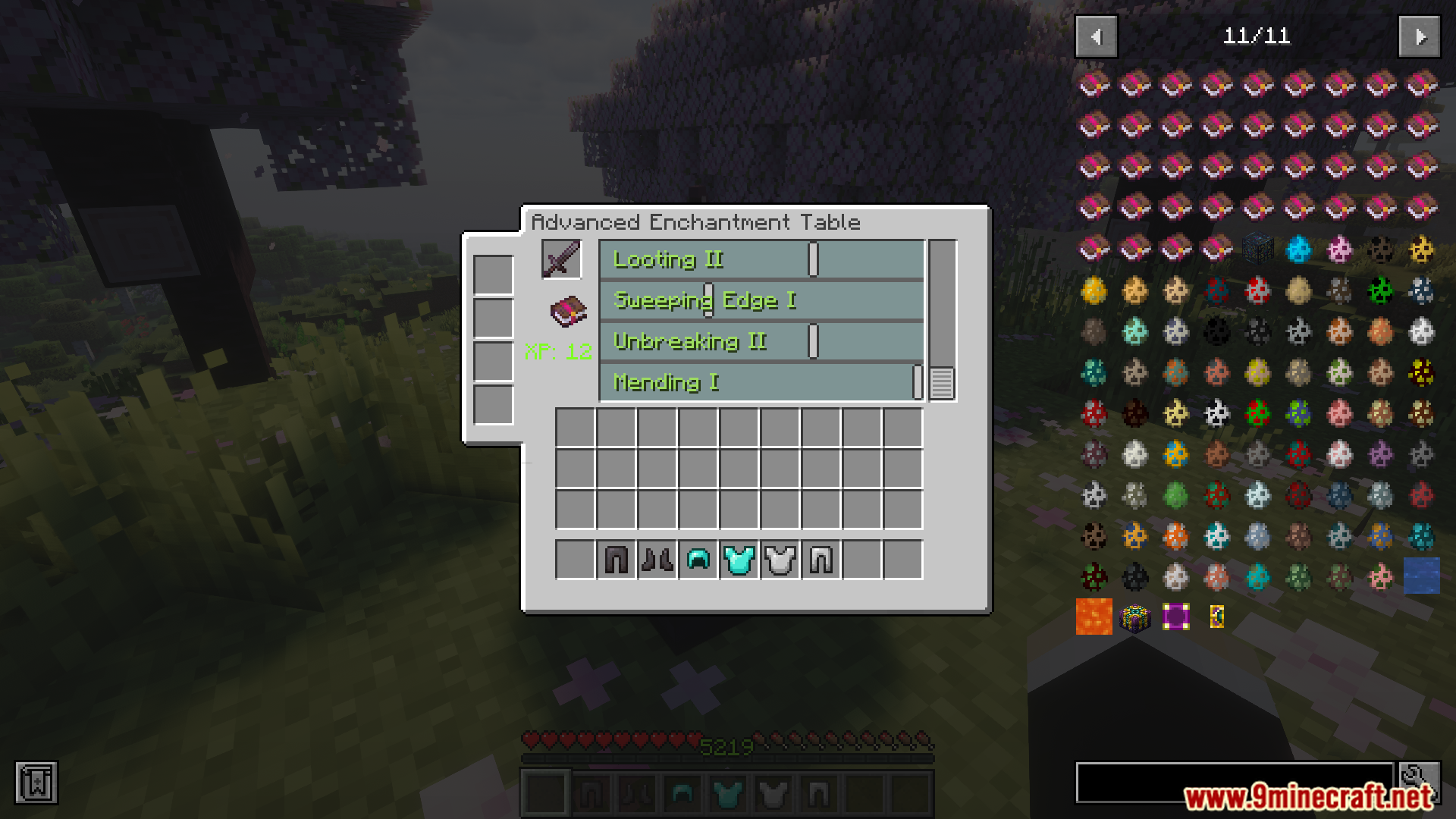 Player using Enchanting Plus menu to pick specific sword enchantments