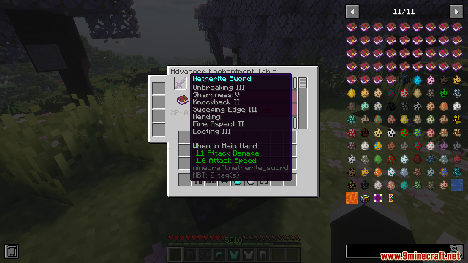 Viewing fully enchanted netherite sword in Enchanting Plus Modern Edition Mod