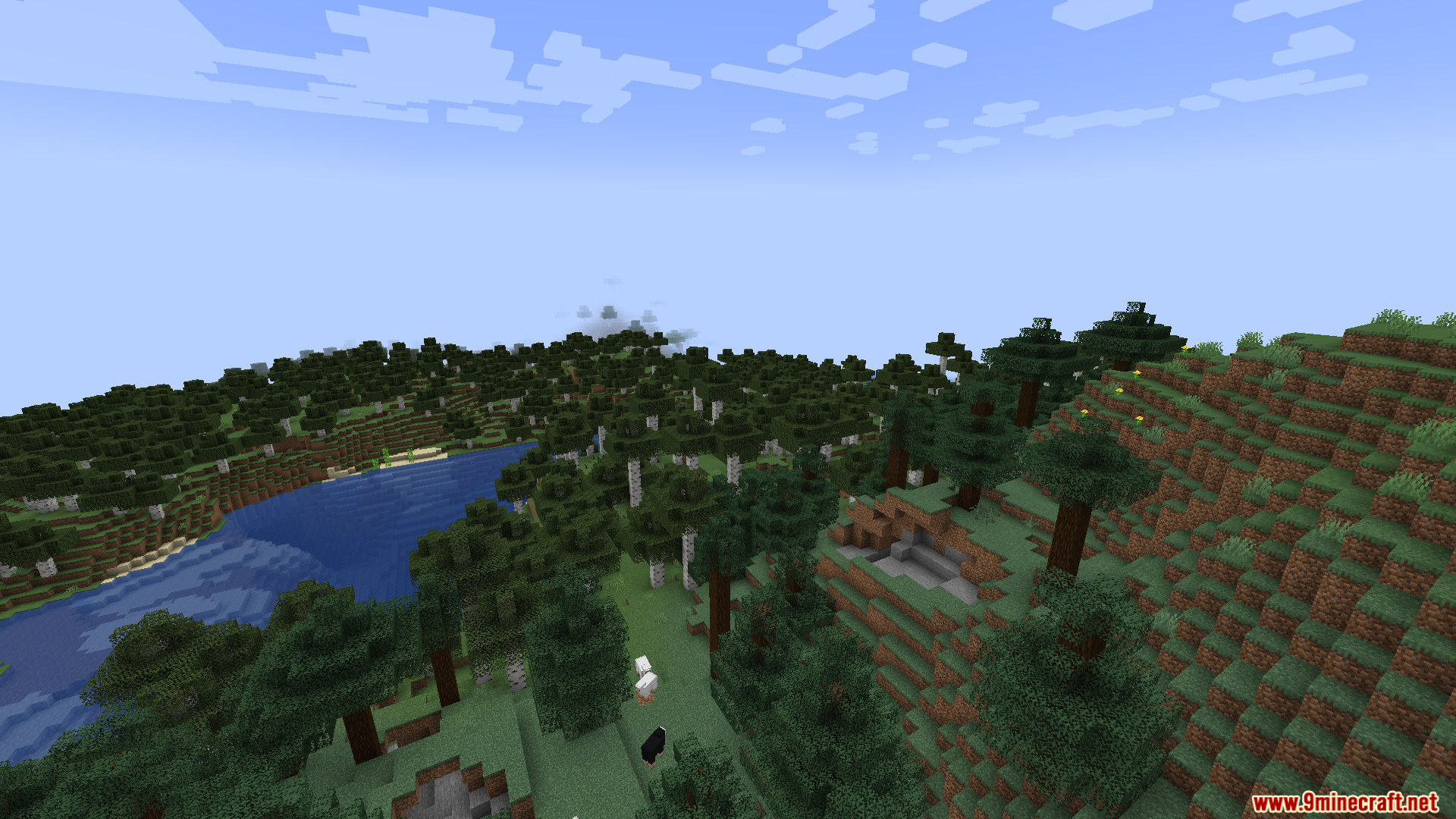 Scenic view of a forest biome next to a river and hill