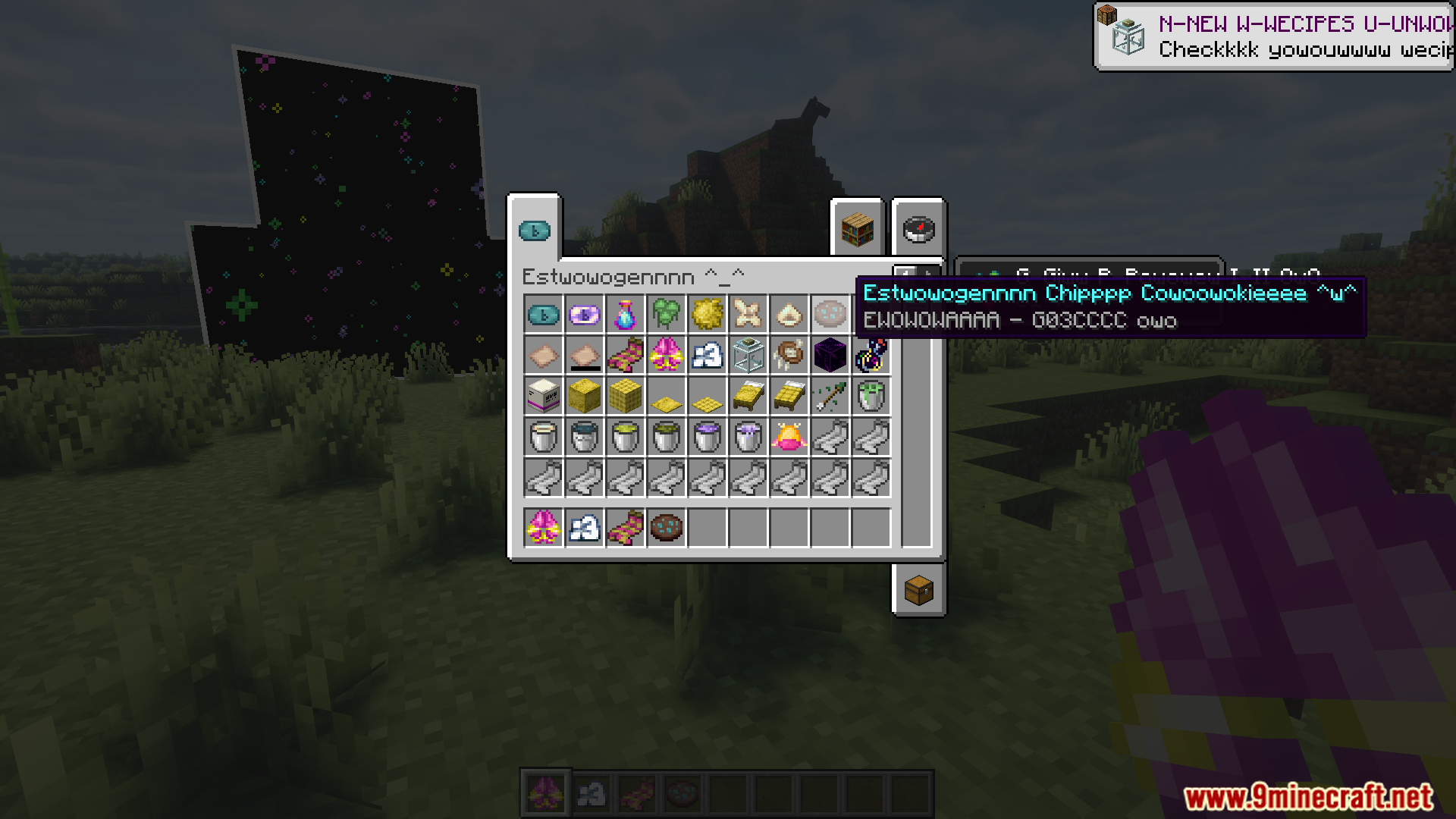 Viewing a Chip Cookie in the custom modded inventory