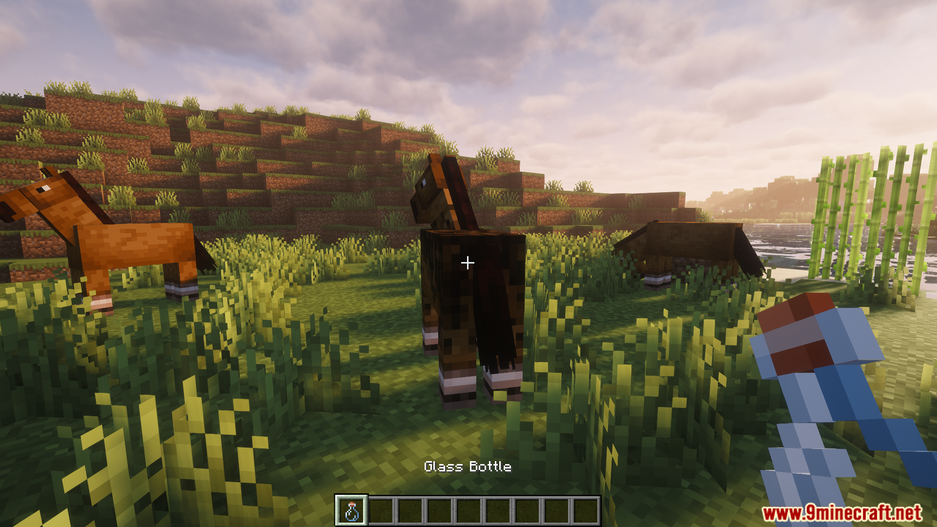 Player holding a glass bottle in front of a horse