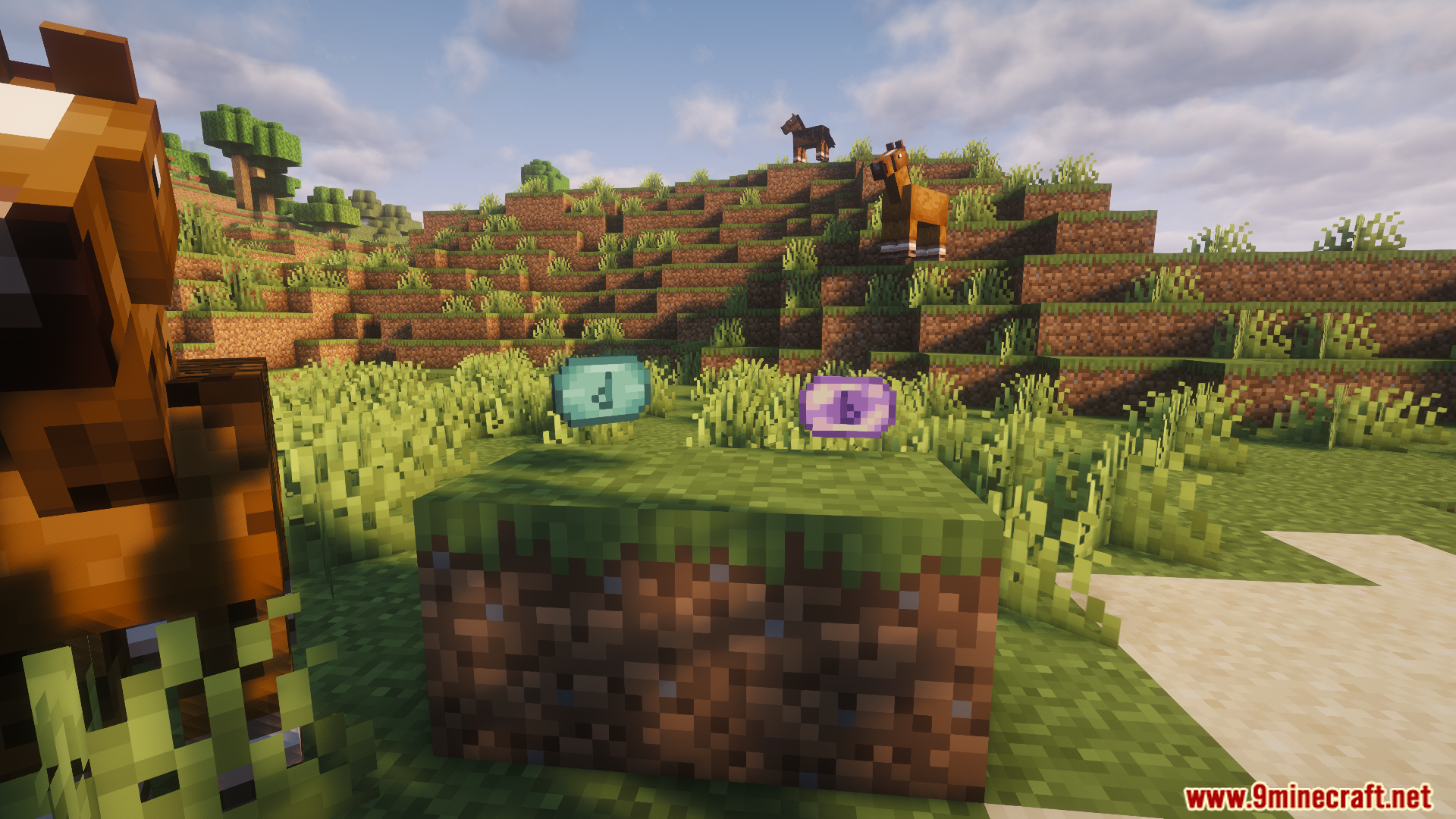 Special pills from the Estrogen Mod on a grass block