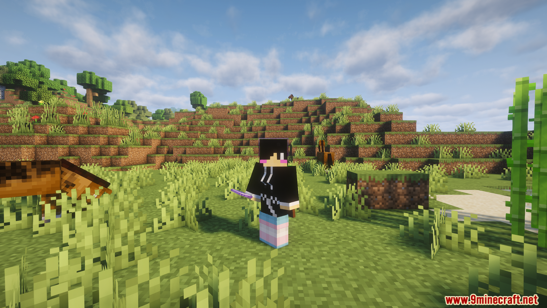 Player model with a custom hoodie and pants