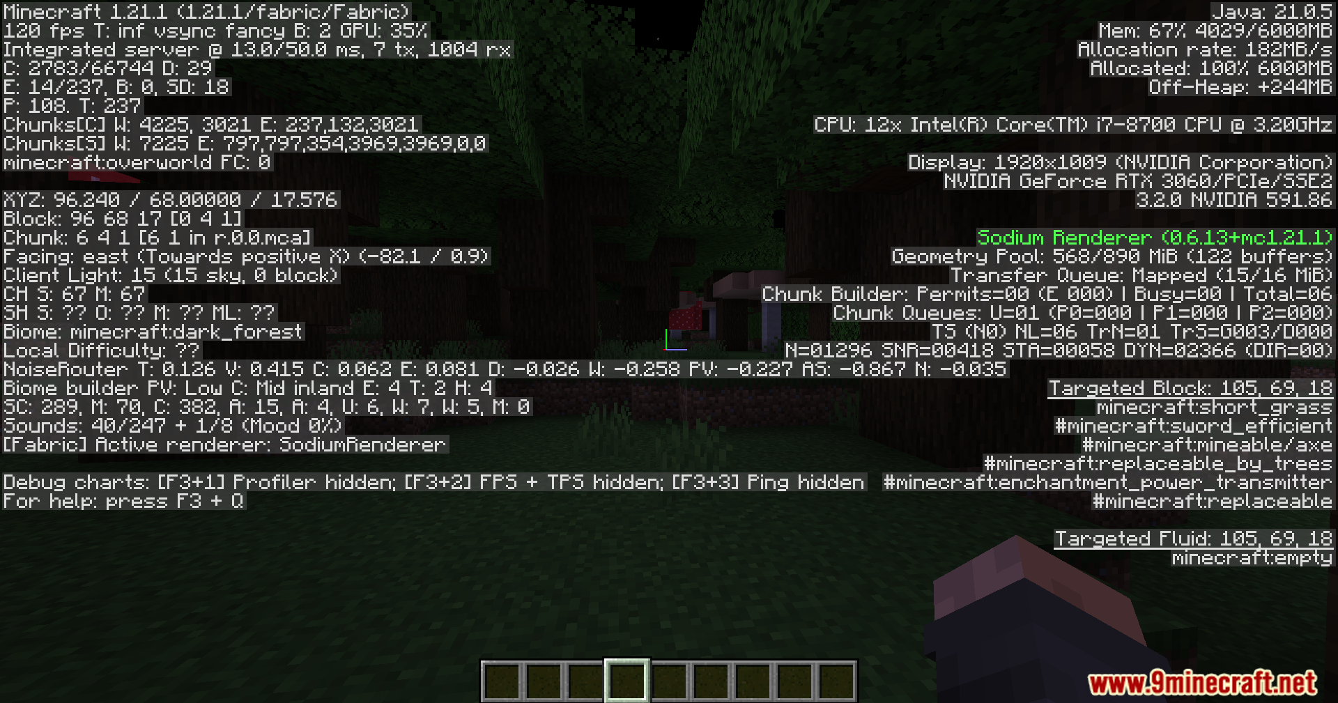 Player viewing the debug screen in a dark forest biome