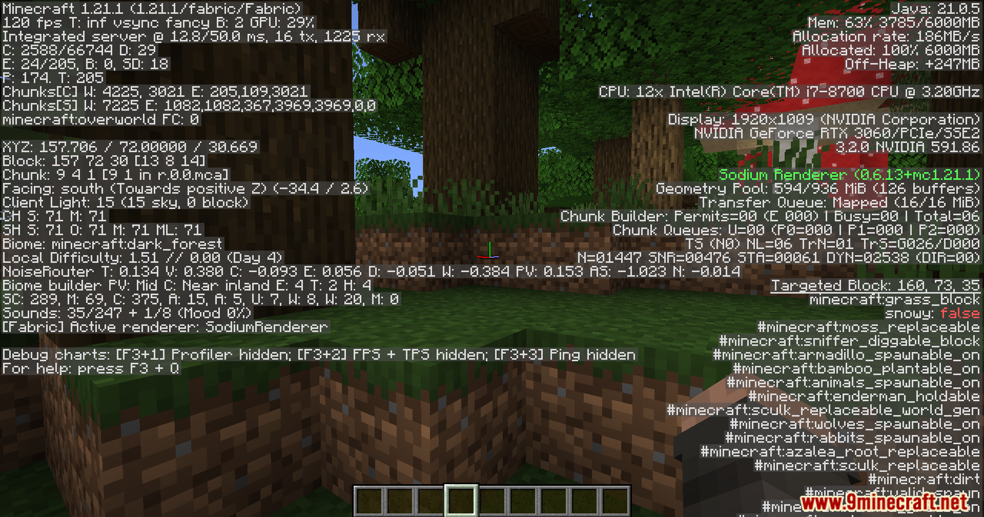 Debug screen open while looking at the ocean from a forest