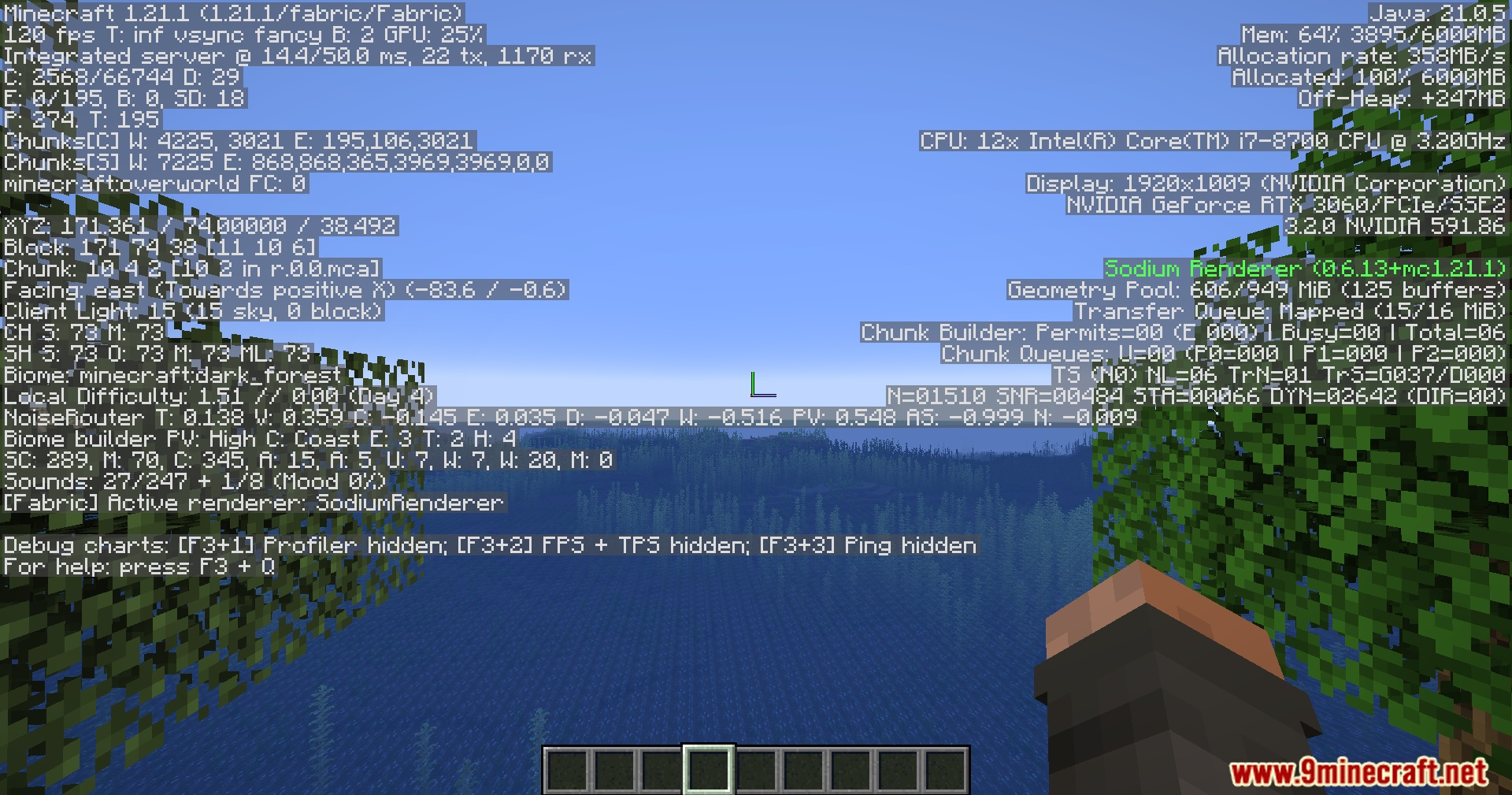 Viewing targeted block details on the debug screen in a forest