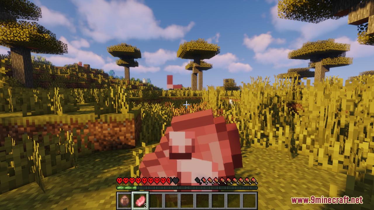 Raw porkchop dropped on savanna grass with hardcore style health bar