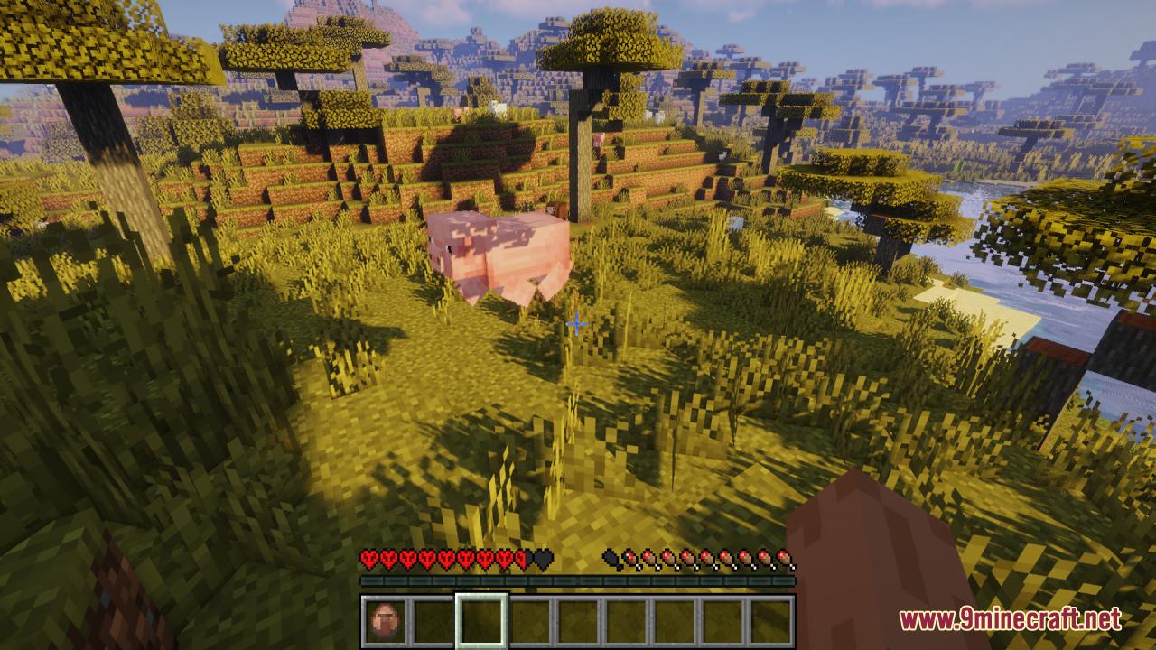 Player looking at a pig using False Hardcore Heart Texture Pack