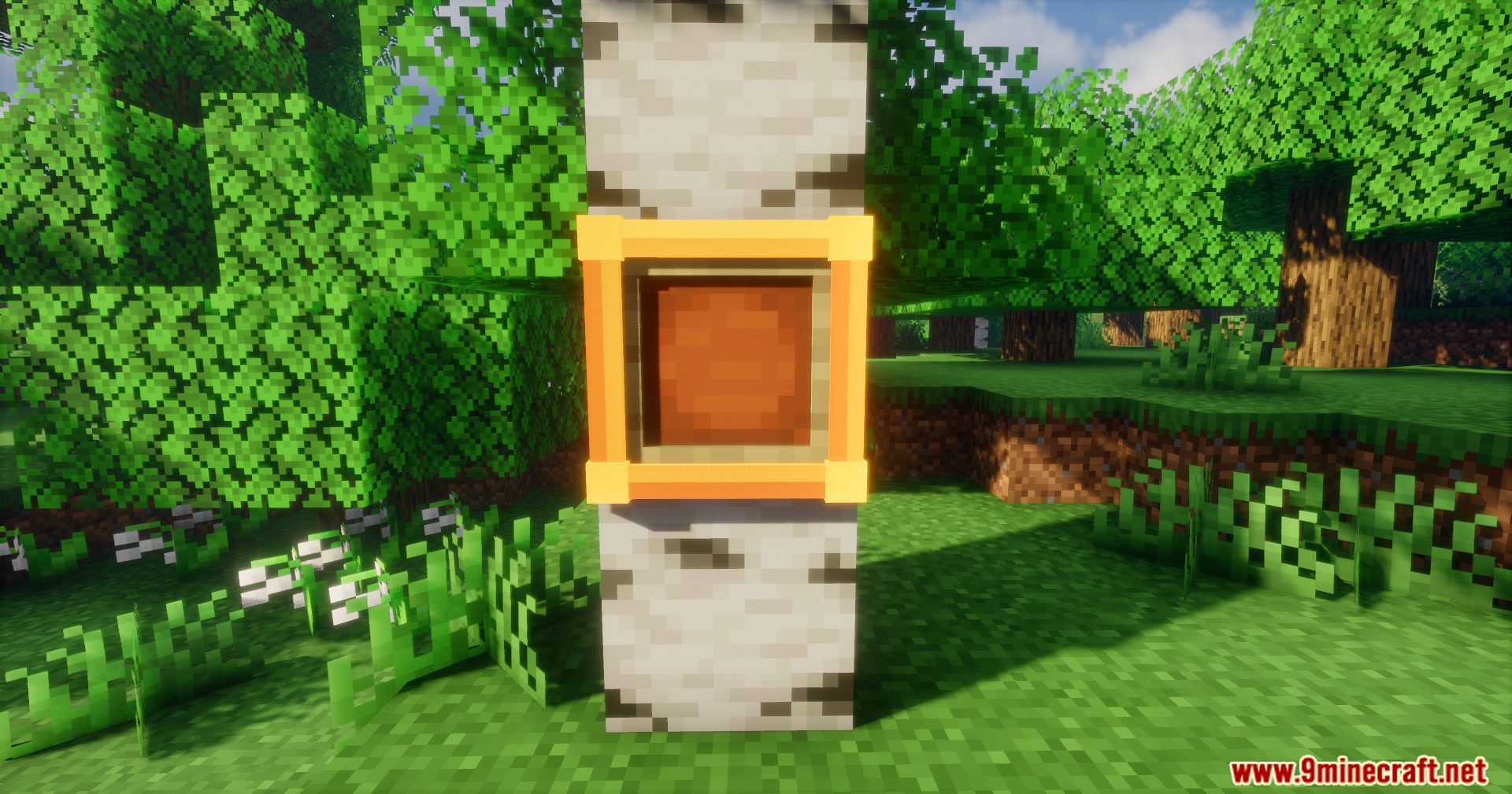 Gold frame displayed on a birch tree trunk