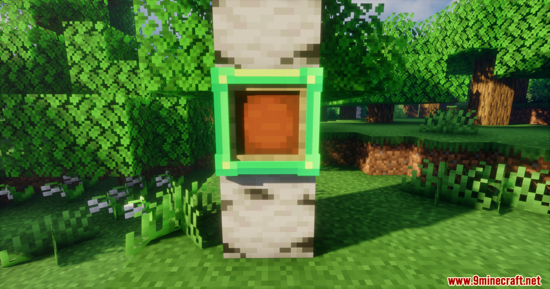 Emerald frame displayed on a birch tree trunk