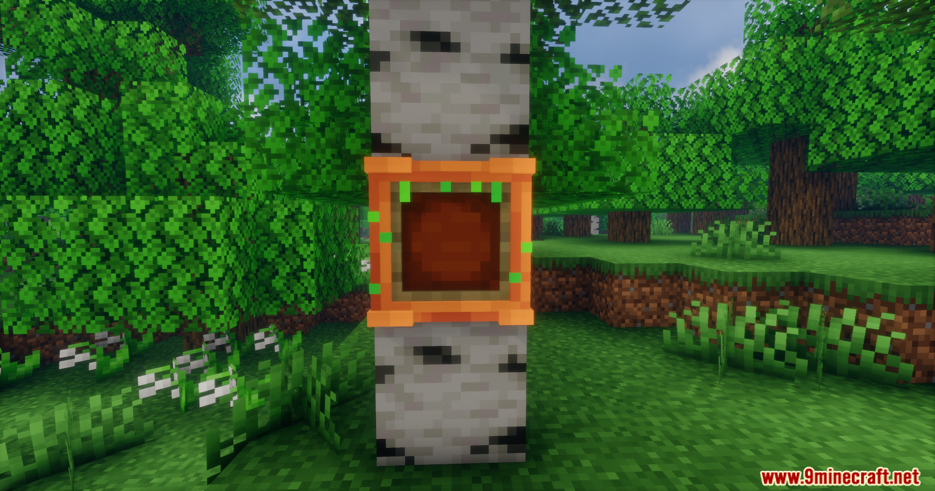 Oxidized copper item frame placed on a birch tree trunk