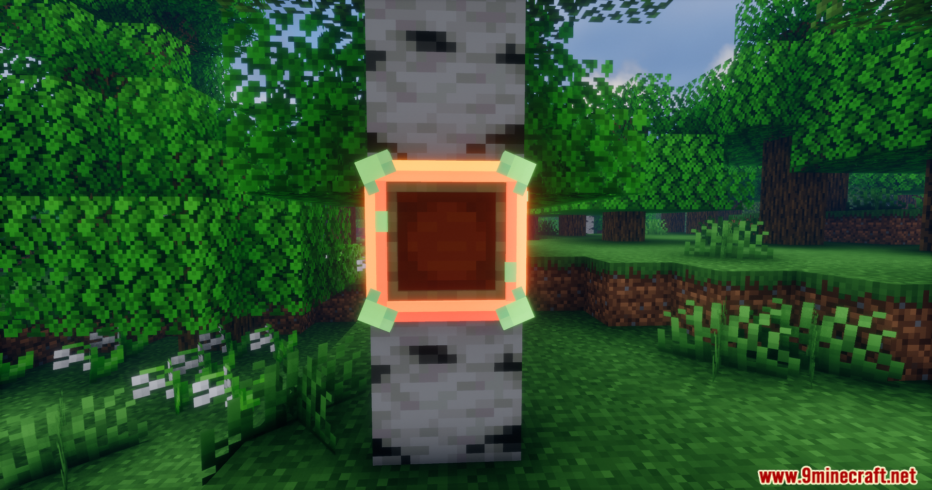 Custom emerald item frame placed on a birch tree trunk