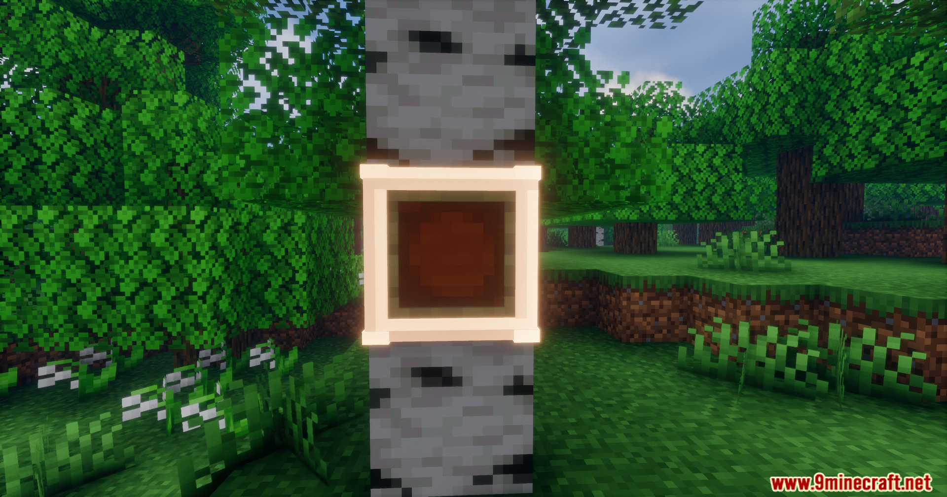 Wooden frame displayed on a birch tree trunk