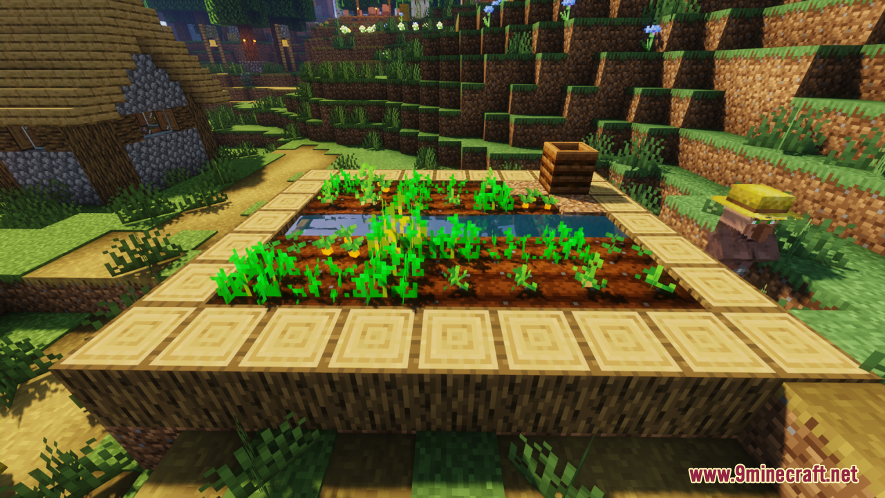 Villager farmer near raised plot showing Farm 3D Texture Pack crops