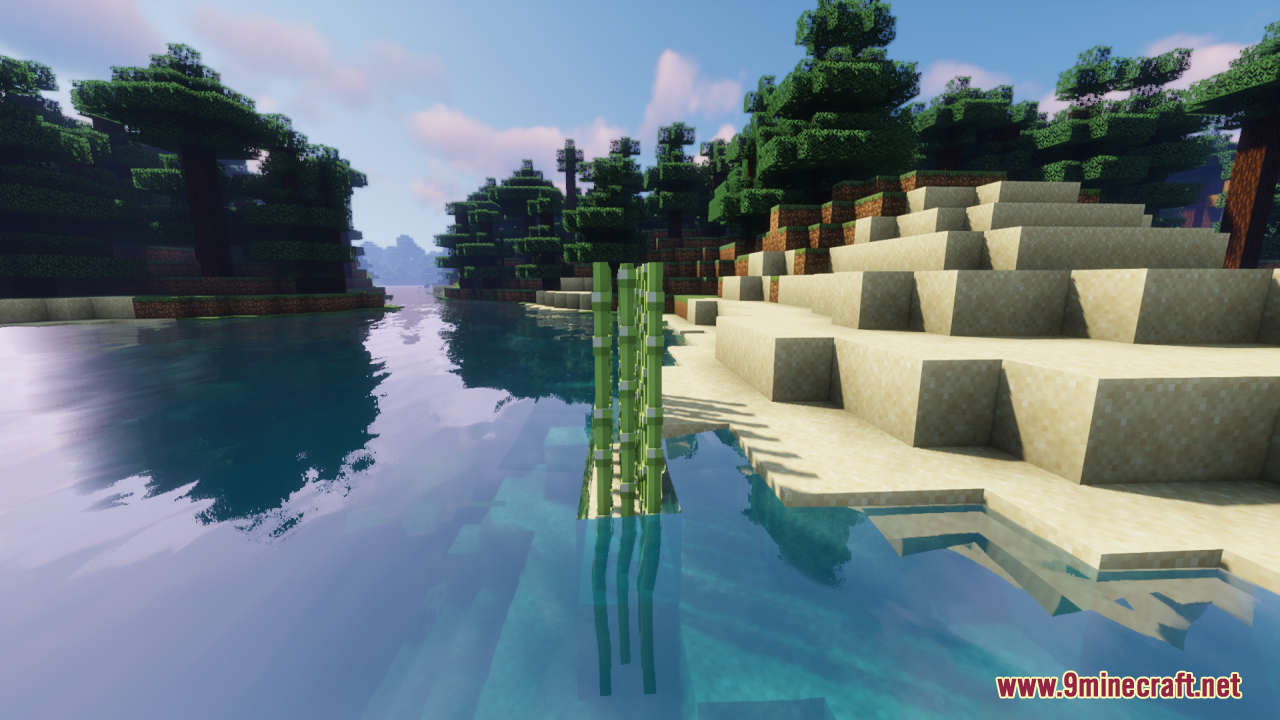 Side view of sugar cane growing in water