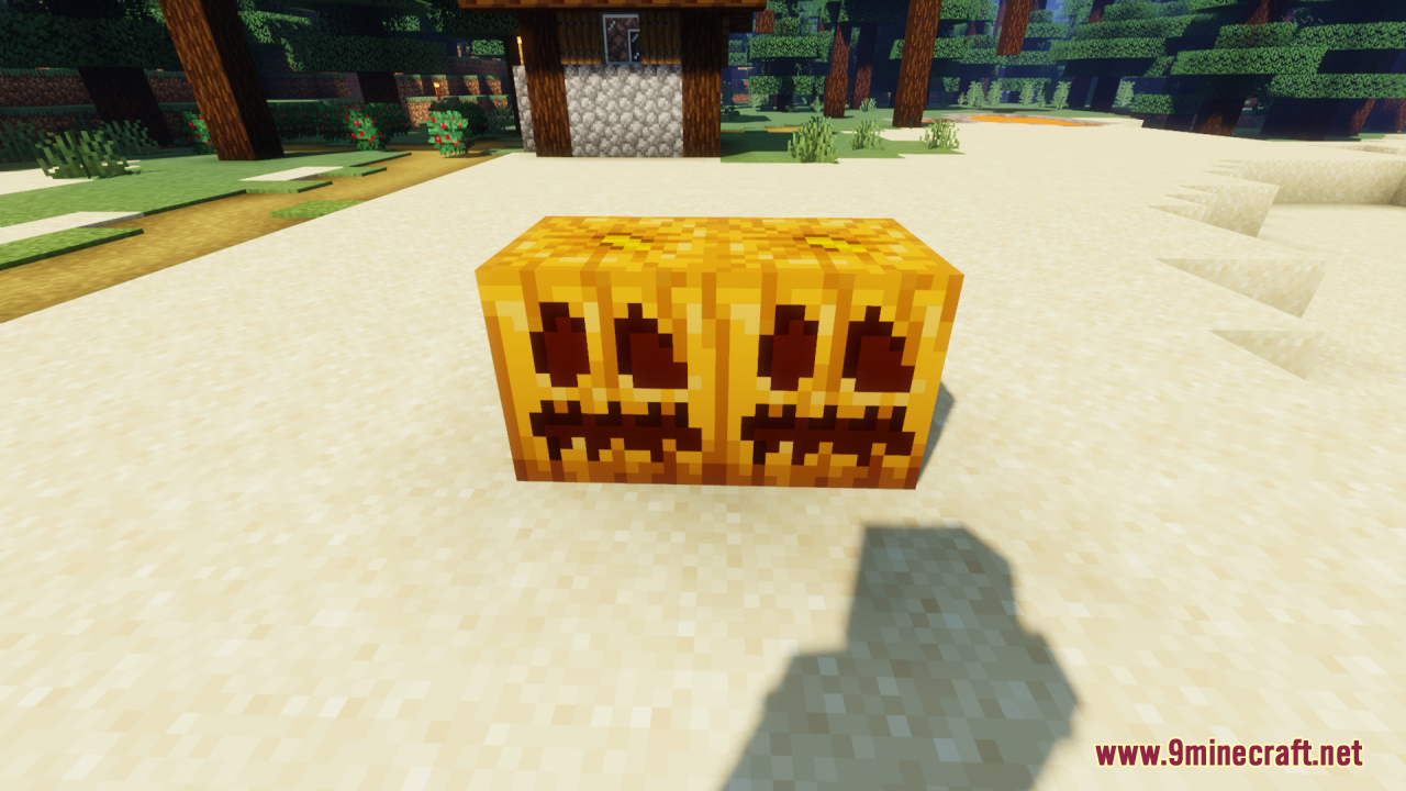 Two carved pumpkins placed side by side on sand