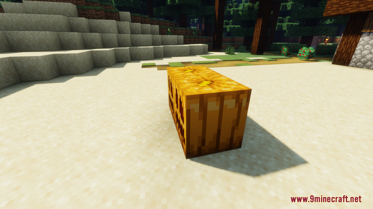 Side view of carved pumpkins placed on sand